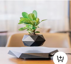 Levitating Air Bonsai